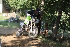 img_3179_std