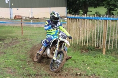 img_2517_std