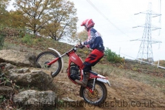 img_3528_std