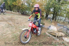 img_3530_std