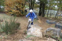 img_3554_std