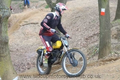 img_4450_std
