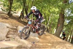 img_3023_std