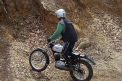 img_3783_std