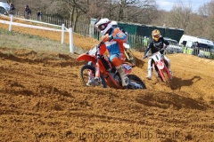 img_5176_std