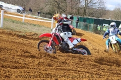 img_5177_std
